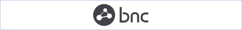 Business Network Consulting